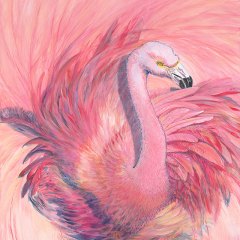 Flamingo Shake Your Tail Feathers